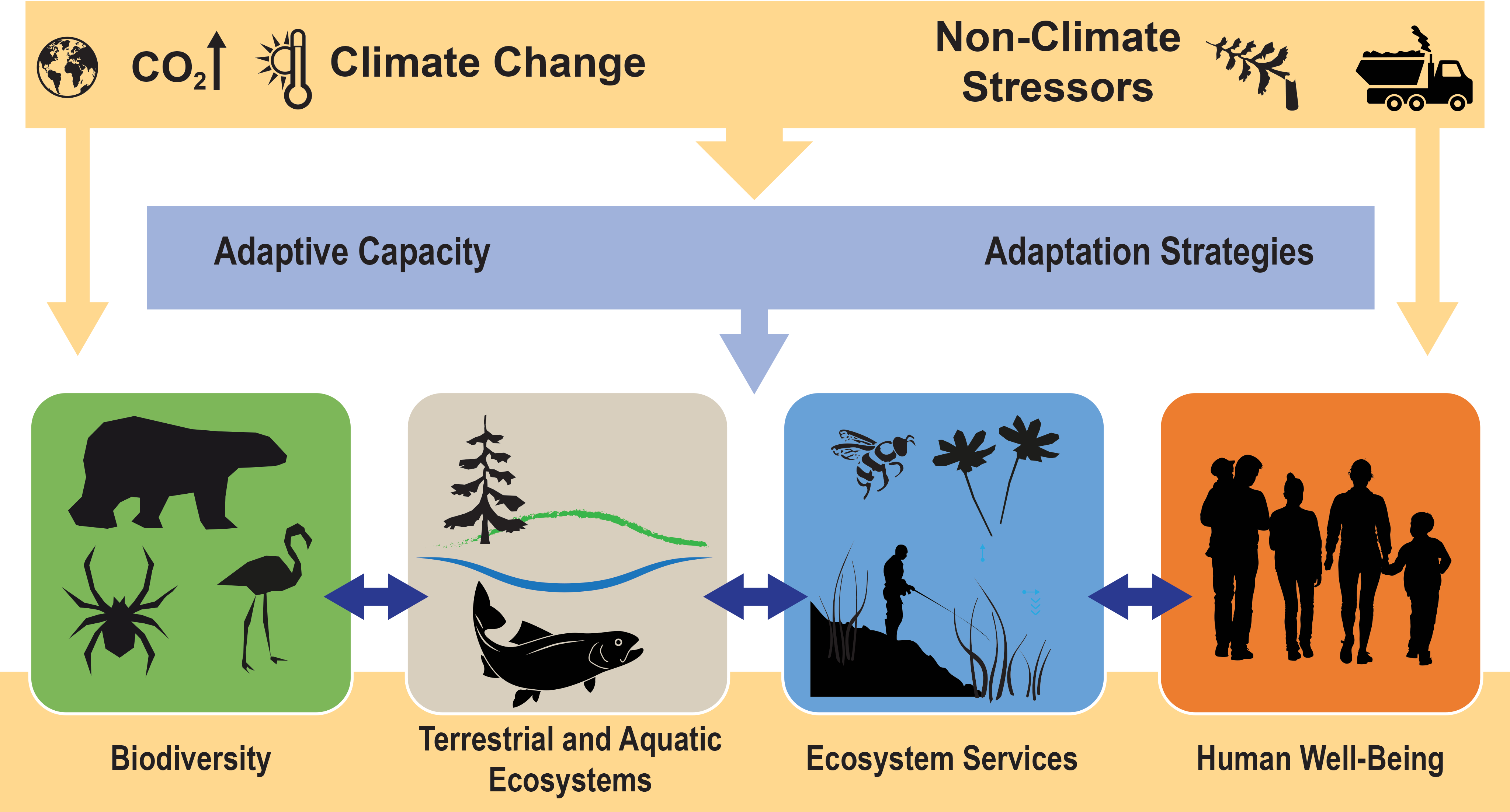 Ecosystems, Ecosystem Services, And Biodiversity - Silhouette Ecosystem Clipart (4095x2204), Png Download