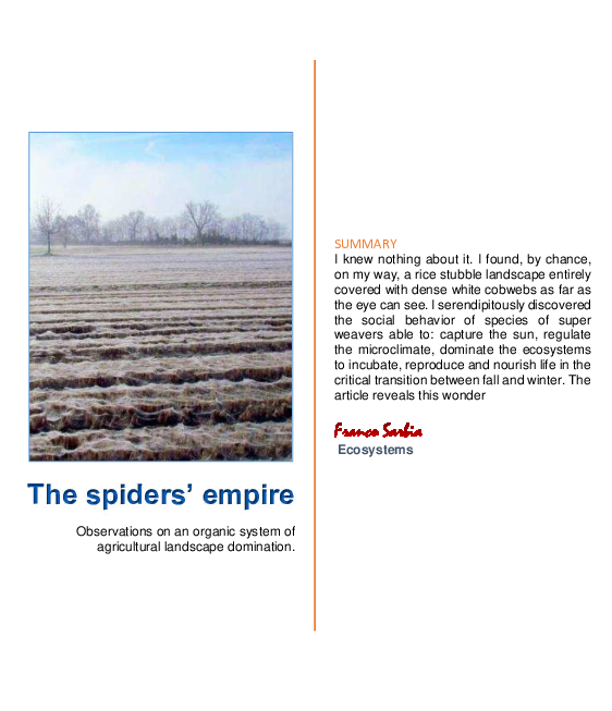 Pdf - Tree Clipart (595x842), Png Download