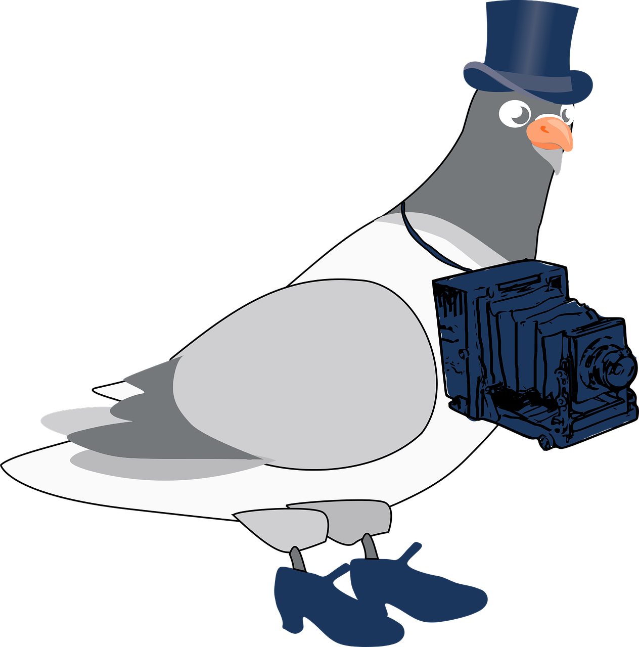 Pigeon Photographer Cartoon Png Image - Chim Bồ Câu Hoạt Hình Clipart (1264x1280), Png Download