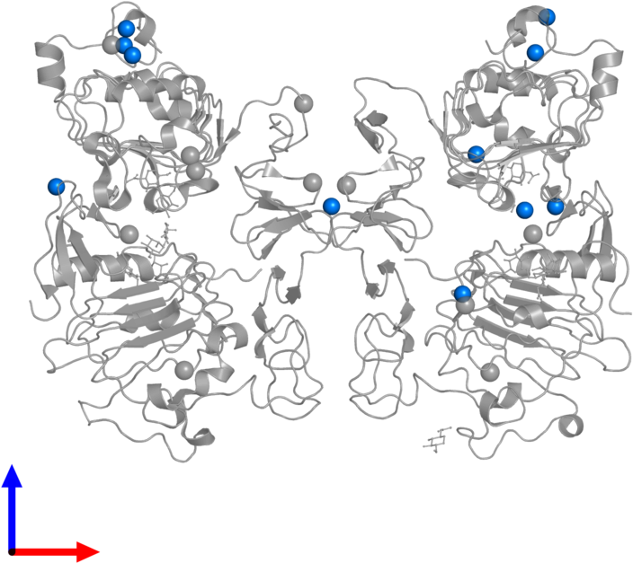 <div Class='caption-body'>pdb Entry 1mox Contains 11 - Cartoon Clipart (800x800), Png Download
