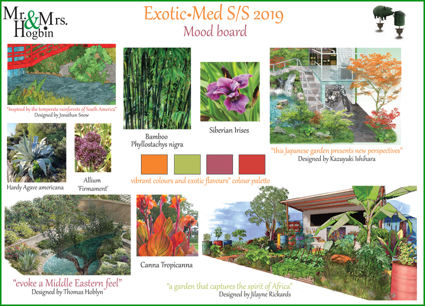 Exotic Plant Plan - Passion Flower Clipart (850x612), Png Download