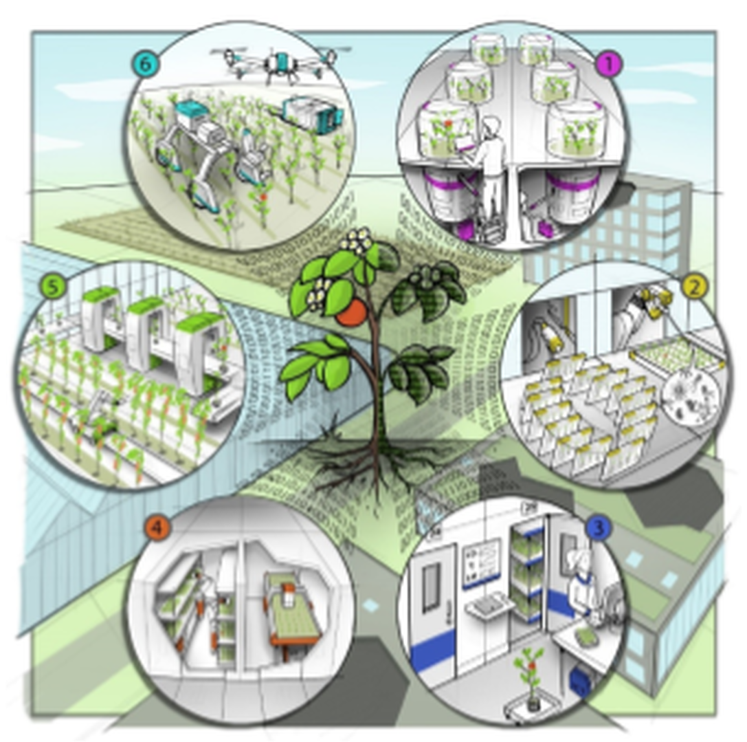 Netherlands Plant Eco-phenotyping Centre - Cartoon Clipart (1422x1080), Png Download