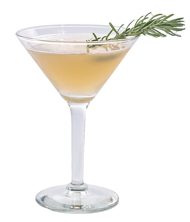 Vantage Bush Bee - Martini Glass Clipart (800x800), Png Download