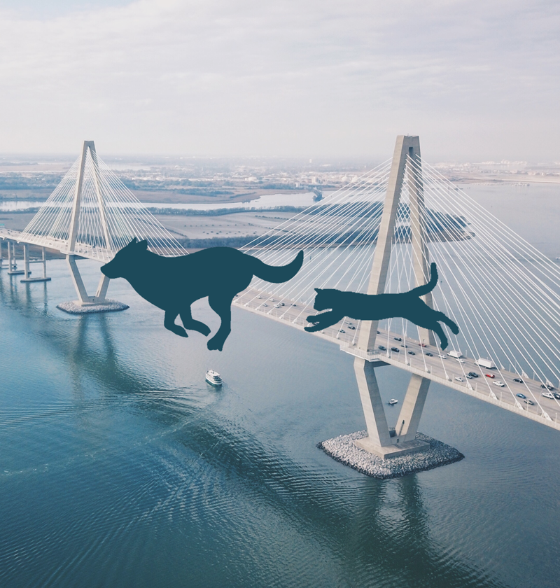 Bridge The Gap - Unsplash Charleston Clipart (800x840), Png Download