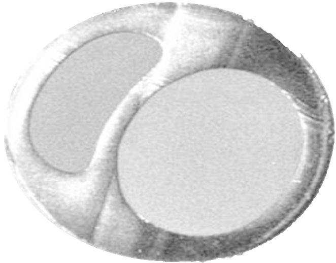 Mustang Pta Balloon Dilatation Catheter Shaft Construction - Circle Clipart (662x518), Png Download