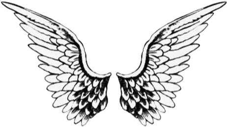 #kawaii #stickers #cute #sticker #chibi #adorable #png - Angel Wings Png Clipart (500x445), Png Download