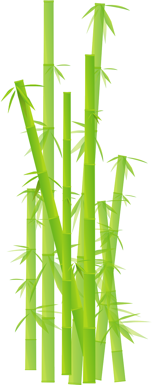 Bamboo Grass Jungle Leave Plant Png Image - Cartoon Bamboo Png Clipart (640x1280), Png Download