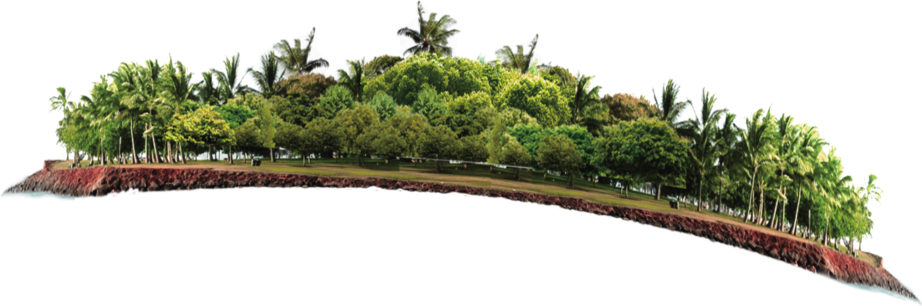 Transprent Png Free - Shrubs Plan Watercolor Psd Clipart (3402x3402), Png Download