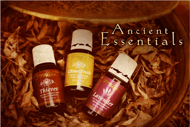 Ancient Essentials - Cosmetics Clipart (1111x424), Png Download