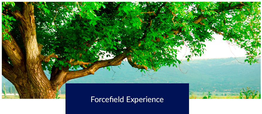 » Forcefield Experience - Fleur De Coquelicot Provence Clipart (960x382), Png Download