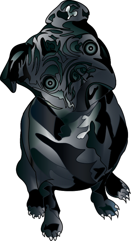 Black Pug - Illustration Clipart (443x818), Png Download