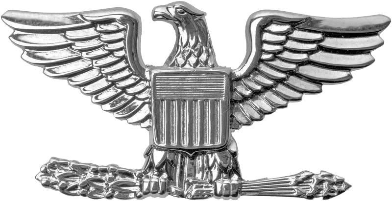 Colonel - Air Force Eagle Pin Clipart (800x412), Png Download