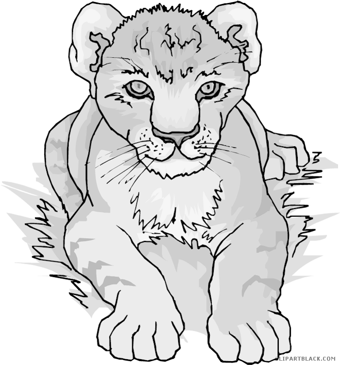 Clipartblack Com Animal Free Black White Images - Lion Cub Coloring Pages - Png Download (700x751), Png Download