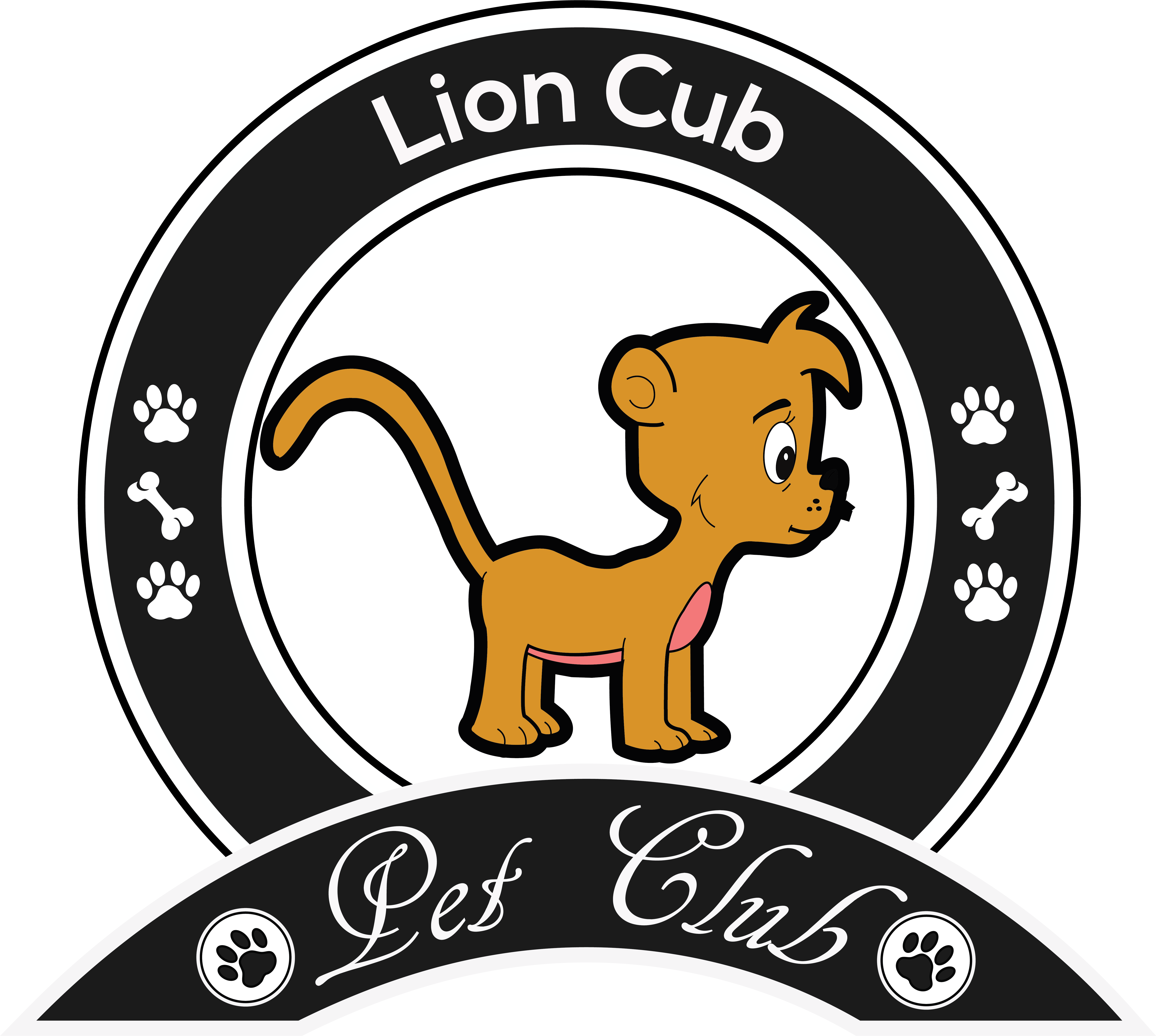 Lion Cub3 - Portable Network Graphics Clipart (6341x5704), Png Download