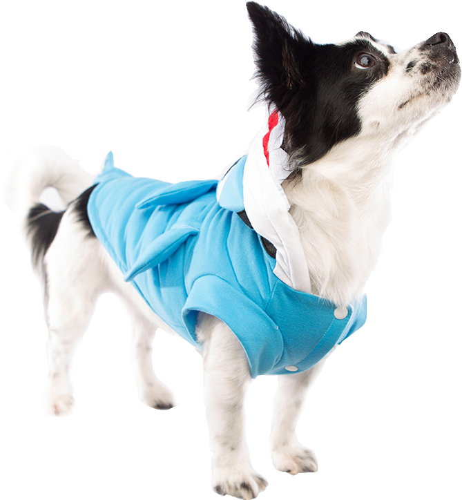 Furry Fin Shark Dog Costume Dog Costumes Clothes Pet - Companion Dog Clipart (800x800), Png Download