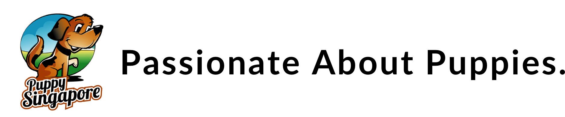 Puppy Singapore - Black-and-white Clipart (1913x390), Png Download