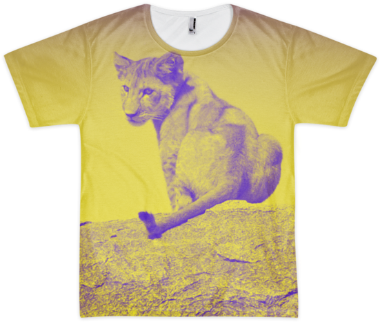 Lion Clipart (600x600), Png Download