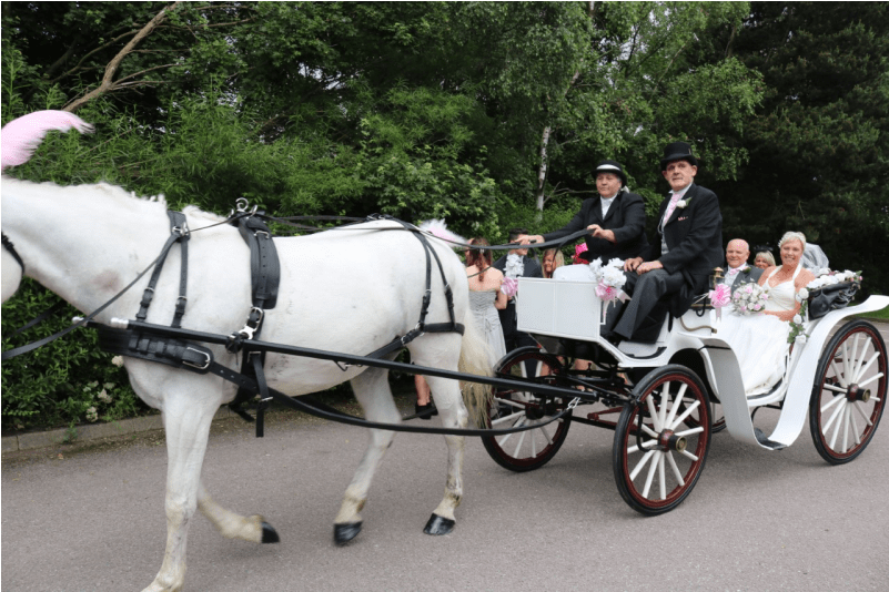 Horse And Buggy Clipart (800x800), Png Download