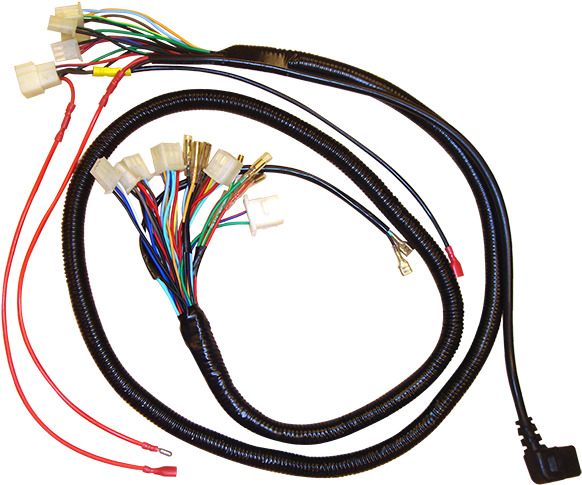 Electric Motorcycle Wiring Harness - Wire Clipart (800x800), Png Download
