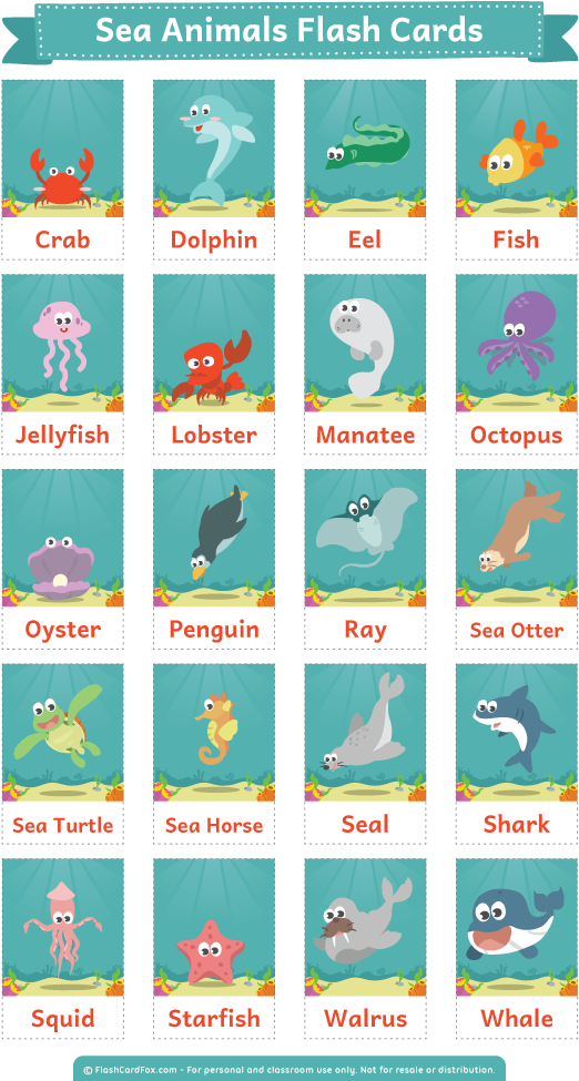 Clip Cards Ocean - Sea Animals Flashcards Printable - Png Download (600x988), Png Download