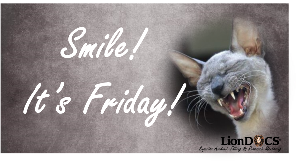 Cat Yawns Clipart (1024x554), Png Download