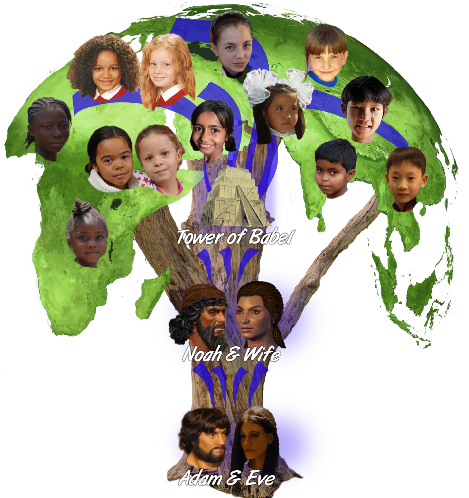 Bible Family Tree - Adam And Eve Race Clipart (963x1024), Png Download