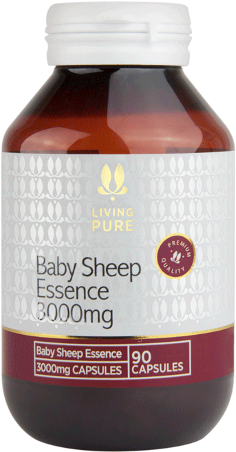 Baby Sheep Essence 3000mg Coming Soon - Cranberry Clipart (1000x1000), Png Download