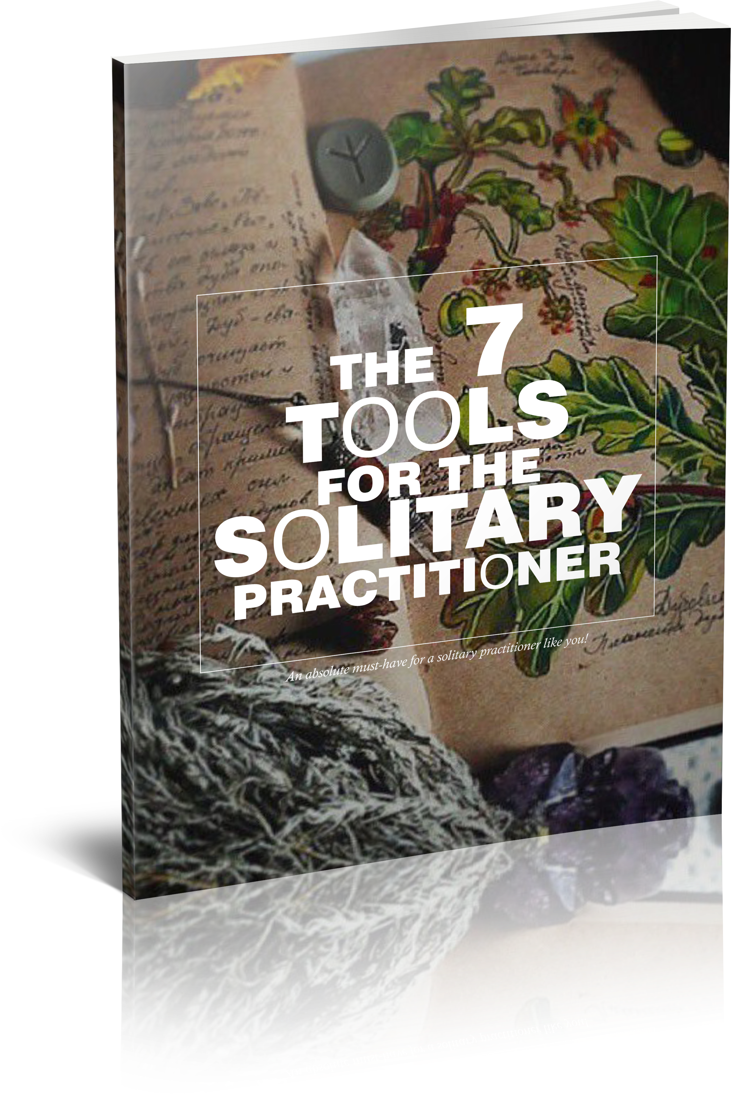 Green Witch Clipart (3090x4068), Png Download