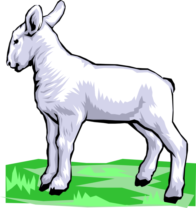 Vector Illustration Of Newborn Baby Lamb Sheep Standing Clipart (657x700), Png Download
