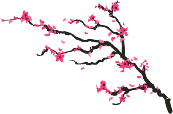 Cherry Blossom Drawing Png Clipart (640x480), Png Download