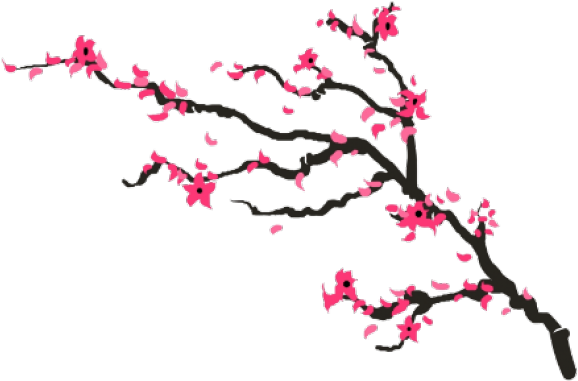 Download Cherry Blossom Drawing Png Clipart Png Download - PikPng