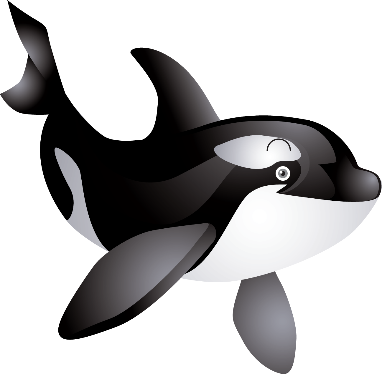 Фотки Ocean Creatures, Marina, Illustration, Whale - Free Killer Whale Clipart - Png Download (800x785), Png Download