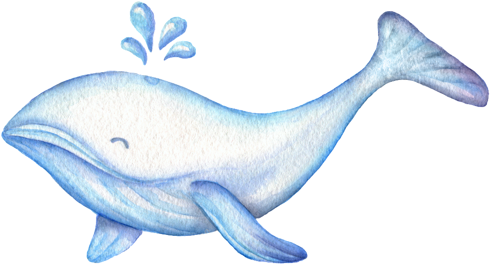 Drawn Whale Cute Thing - ภาพ การ์ตูน น่า รัก ๆ ปลาวาฬ Clipart (1024x557), Png Download