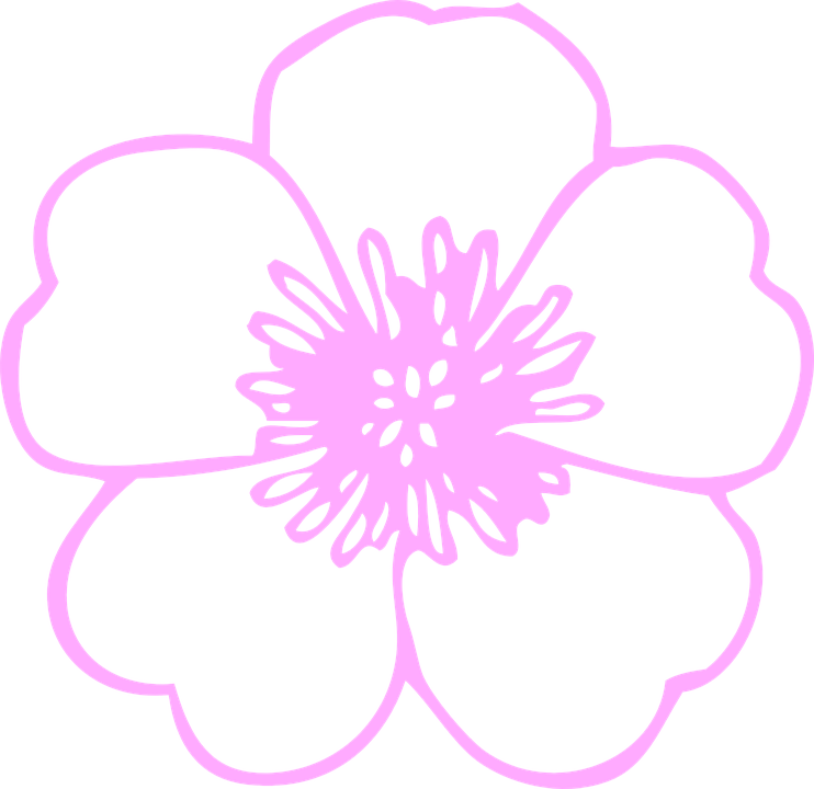 Poppy Clip Art Black And White - Png Download (742x720), Png Download