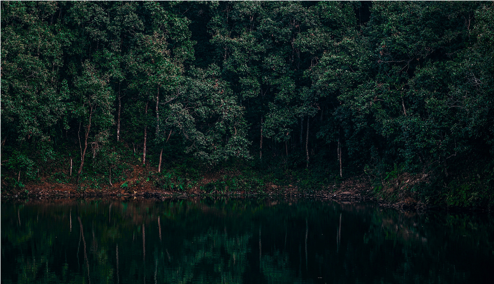 Score 50% - Loch Clipart (1000x1000), Png Download