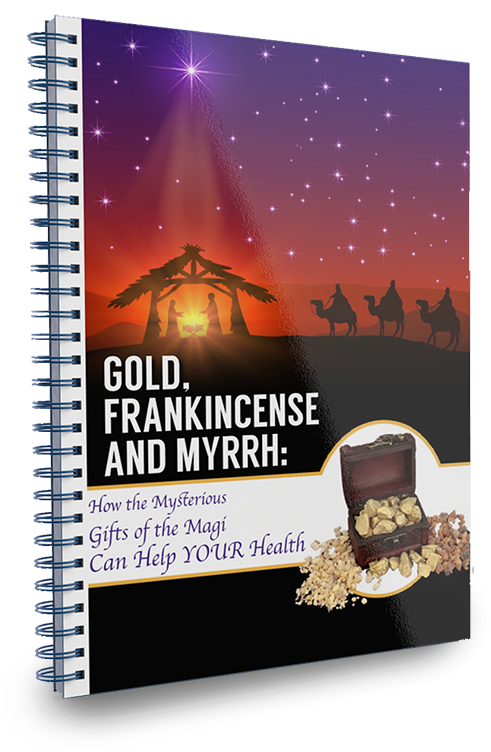 Flyer Clipart (500x765), Png Download