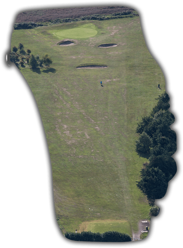 Grass Clipart (600x813), Png Download