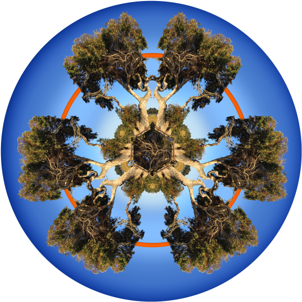 Circle Clipart (600x600), Png Download