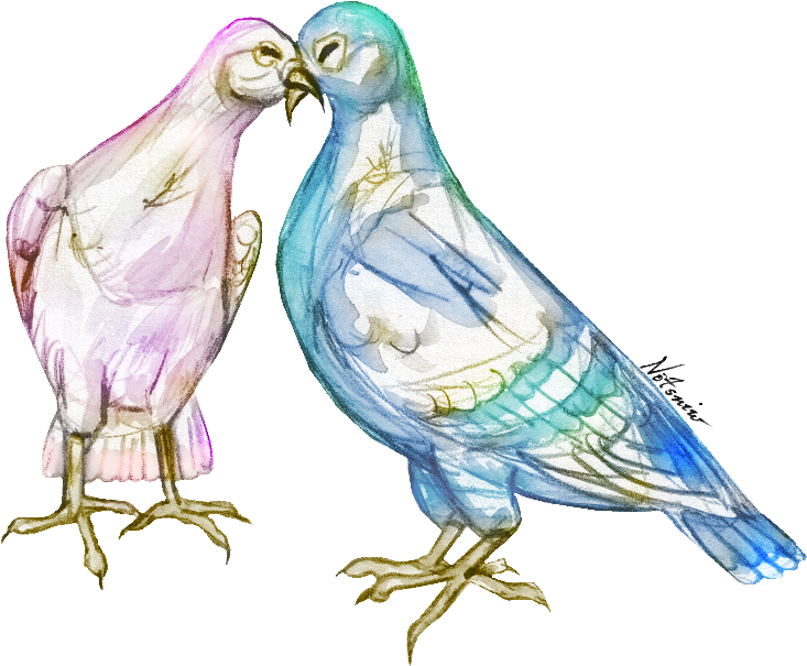 Love Birds - Parakeet Clipart (800x685), Png Download