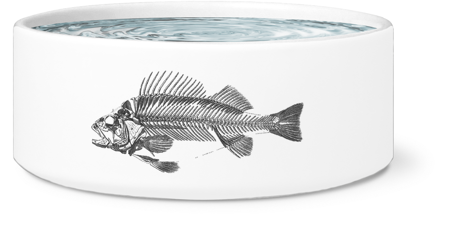 Fish Skeleton Art Clipart (930x464), Png Download