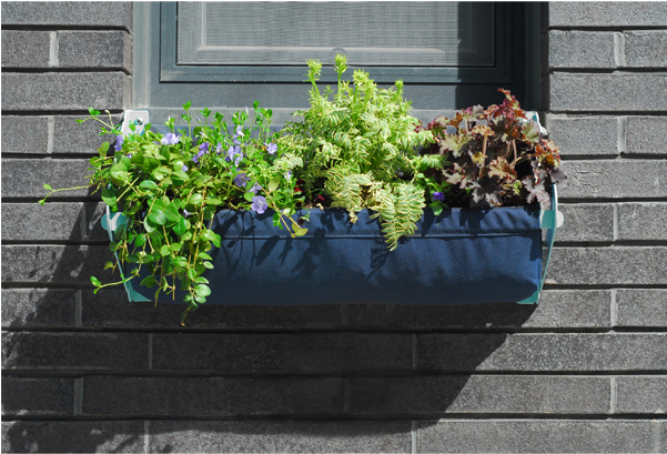 Window Box Png - Flowerpot Clipart (600x600), Png Download