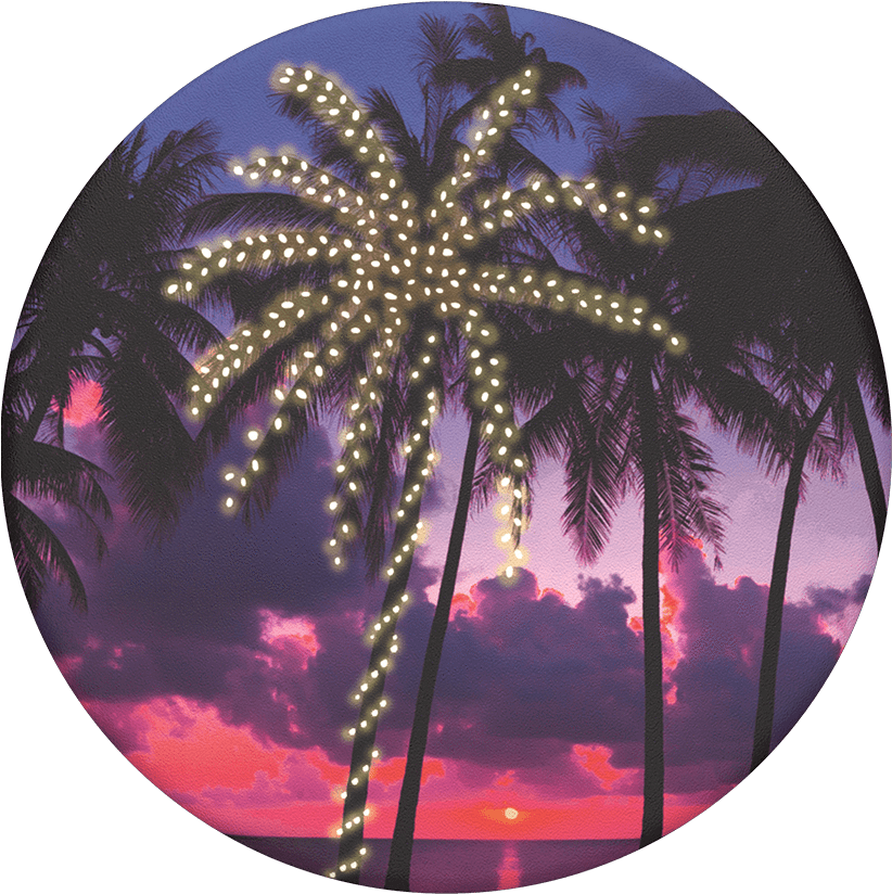 Miami Holiday, Popsockets - Attalea Speciosa Clipart (1000x1000), Png Download