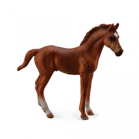 Chestnut Thoroughbred Foal - Baby Foal Chestnut Horse Clipart (750x480), Png Download