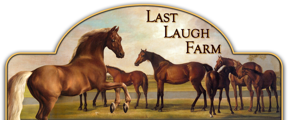 Llf Receives Two Premium Filly And Reserve Champion - George Stubbs Whistlejacket Clipart (1000x429), Png Download
