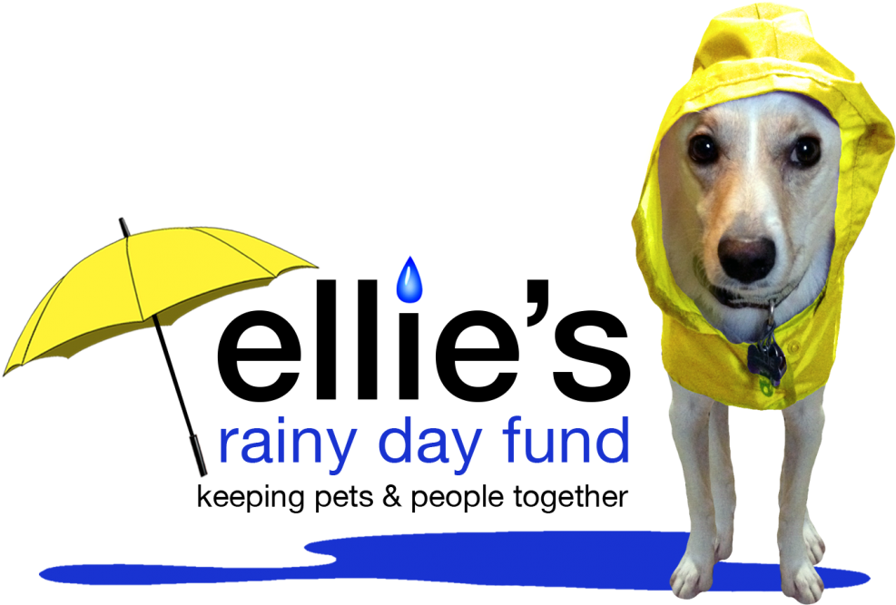 S Rainy - Ellie's Rainy Day Fund Clipart (1000x750), Png Download