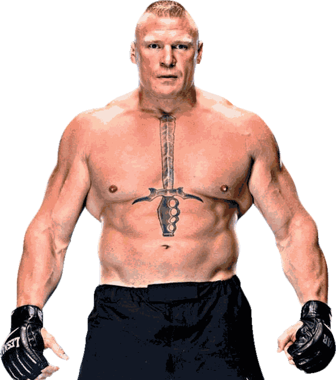 Wwe Summerslam 2017 Match Card With The Tools By Alyad - Brock Lesnar 2017 Png Clipart (653x739), Png Download