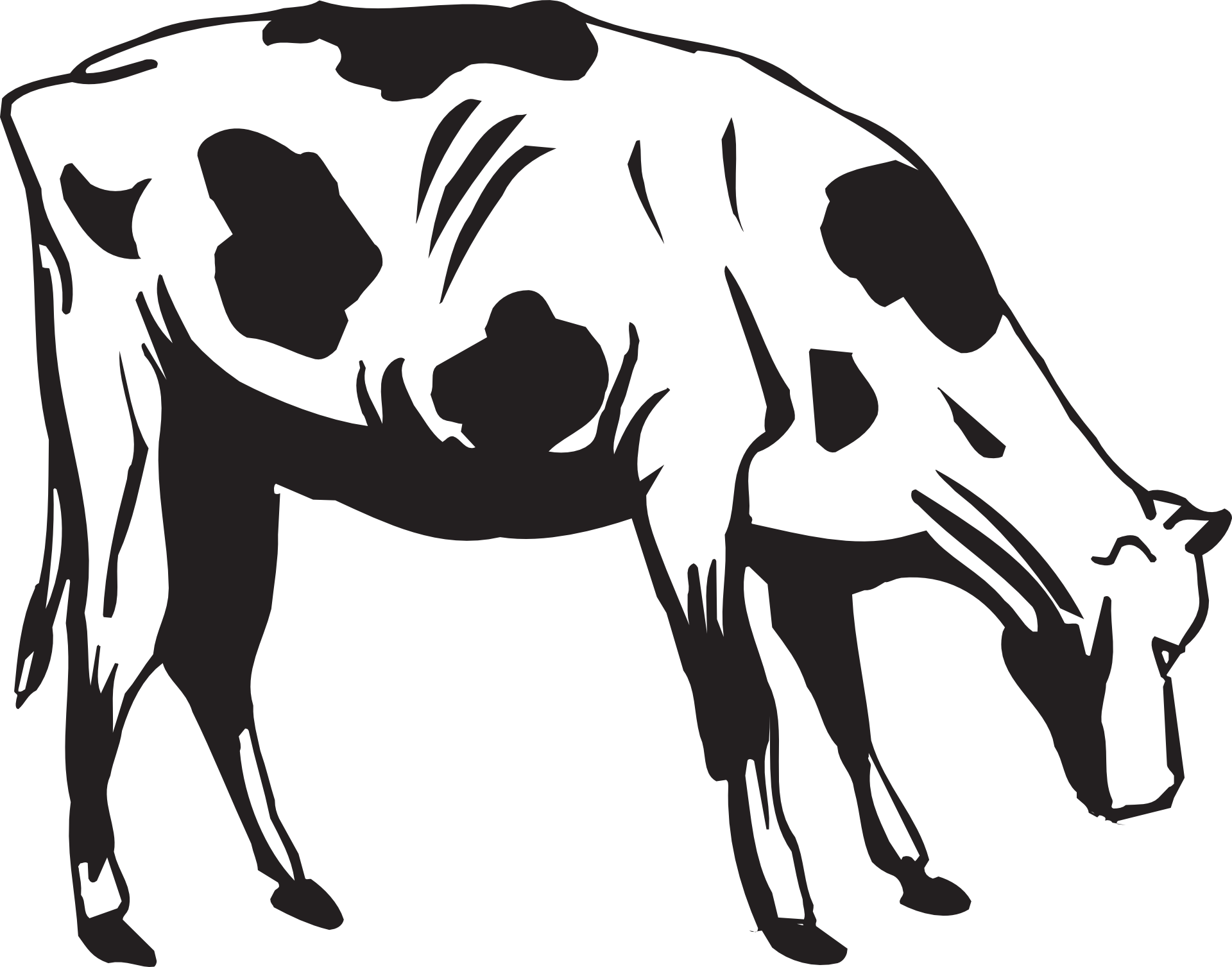 Grass Black And White Black Cow Eating Grass Clipart - Cow Eating Grass Drawing - Png Download (1920x1507), Png Download