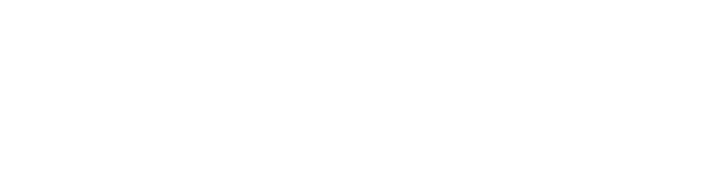 Acn Logo White Clipart (2368x595), Png Download