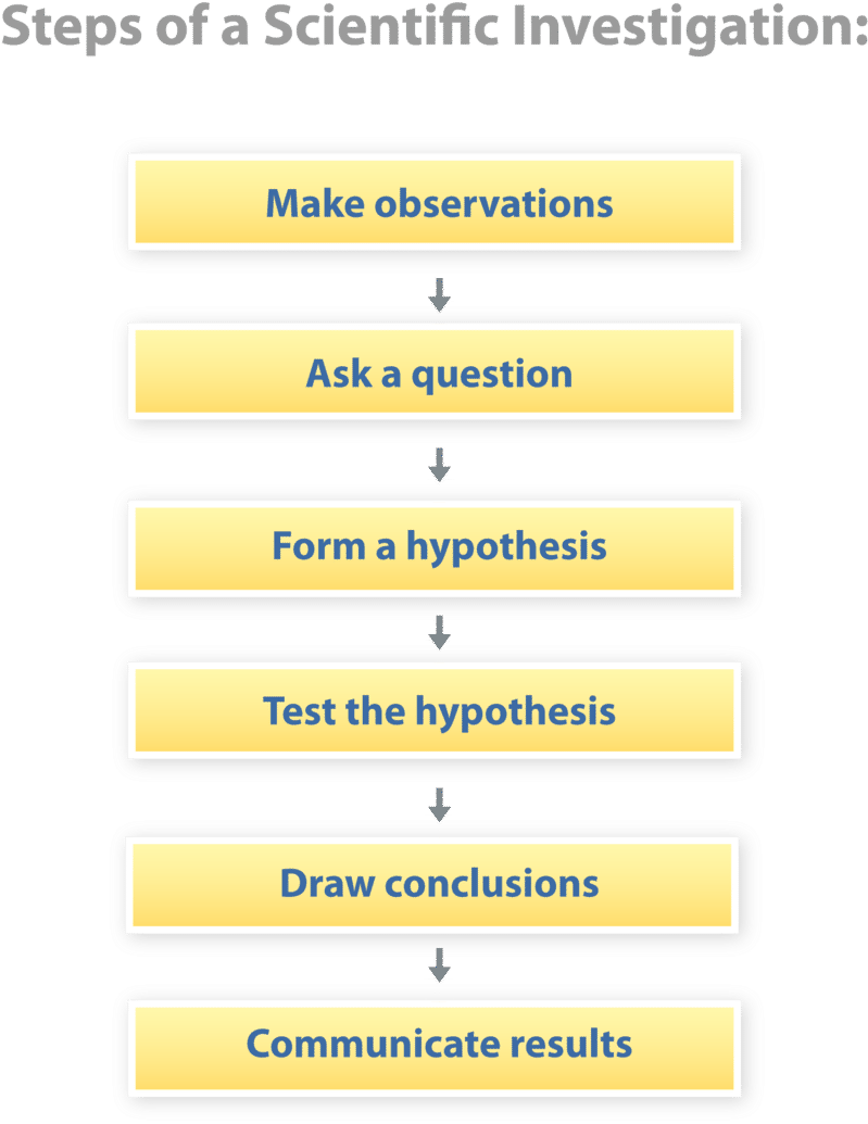 It Generally Follows The Steps Listed In Figure Below - Orbit Clipart (800x1042), Png Download