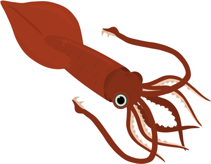 Colossal Squid Misc Art - Giant Squid Clipart (767x698), Png Download